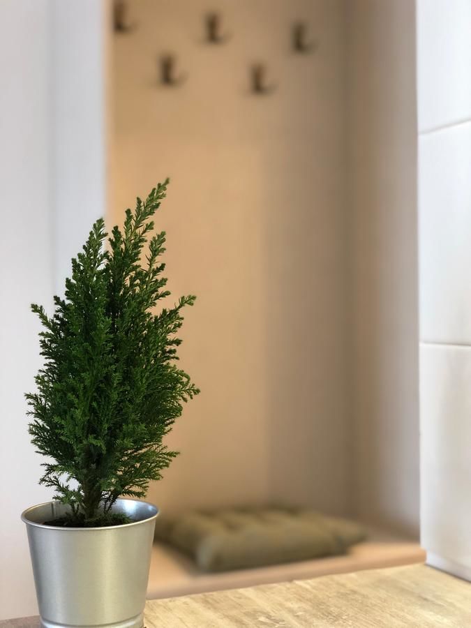 Апарт-отели New Gudauri Redco Apartment Гудаури-19