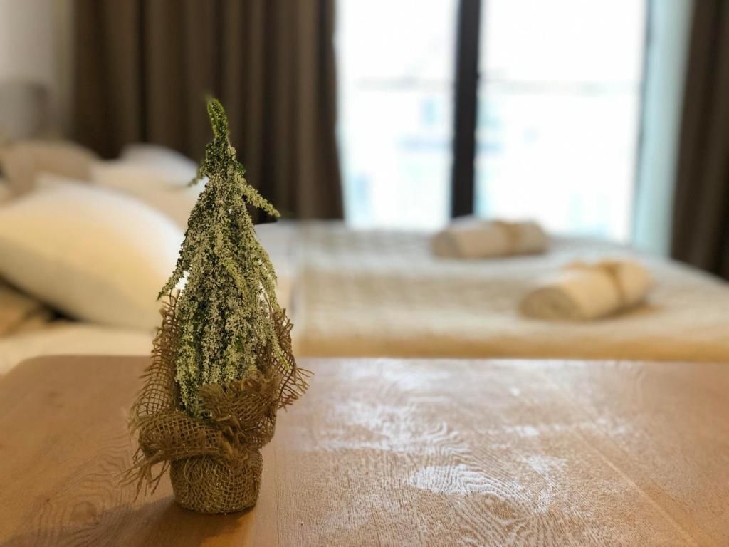 Апарт-отели New Gudauri Redco Apartment Гудаури-57