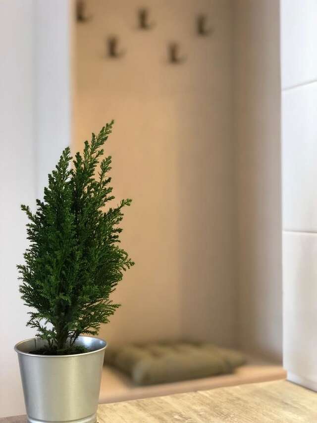 Апарт-отели New Gudauri Redco Apartment Гудаури-18