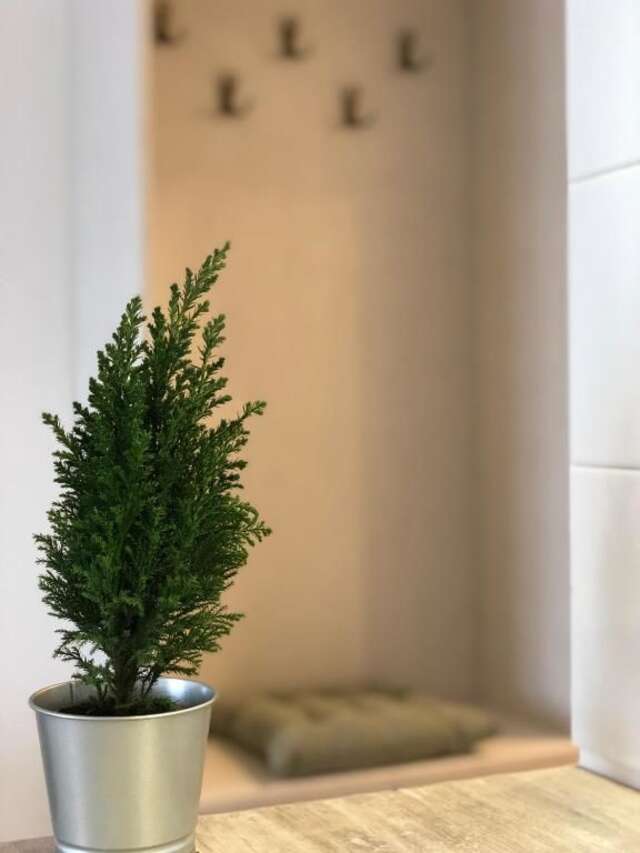 Апарт-отели New Gudauri Redco Apartment Гудаури-57